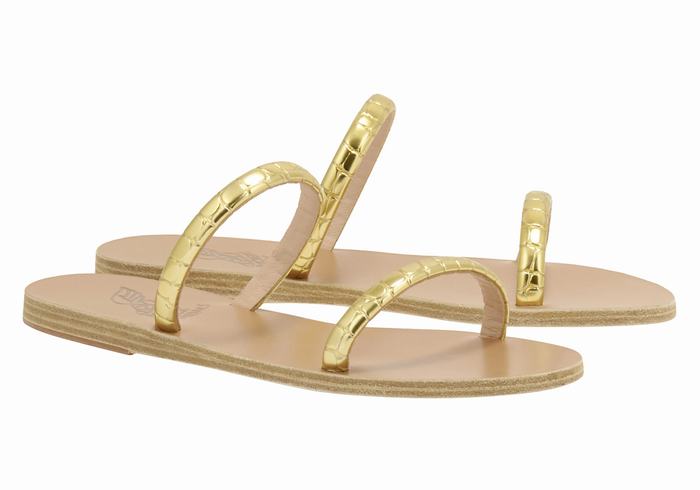 Women Ancient Greek Sandals Echidna Slide Sandals Gold | YWL8223ZR