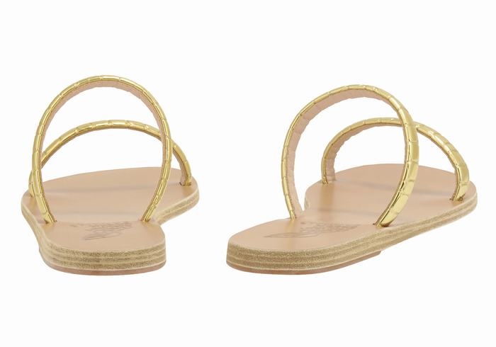 Women Ancient Greek Sandals Echidna Slide Sandals Gold | YWL8223ZR