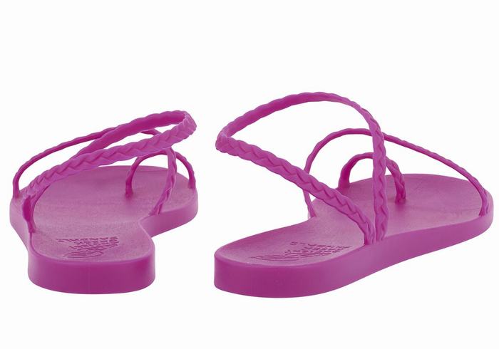 Women Ancient Greek Sandals Eleftheria Braided Sandals Purple | SNZ8466OT