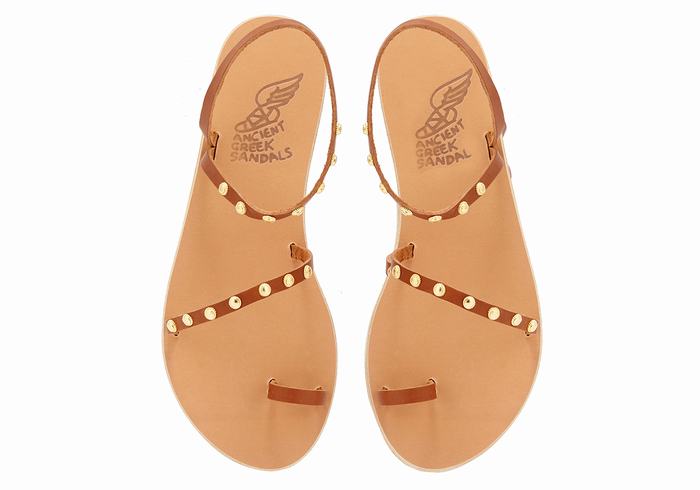 Women Ancient Greek Sandals Eleftheria Bee Toe-Post Sandals Dark Brown | RSQ2638HG