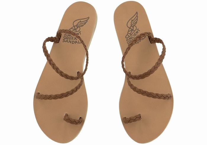 Women Ancient Greek Sandals Eleftheria Leather Braided Sandals Chocolate | YNQ8421VG