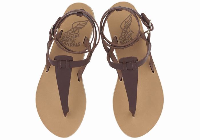 Women Ancient Greek Sandals Estia Leather Ankle Strap Sandals Coffee | ILJ987UB