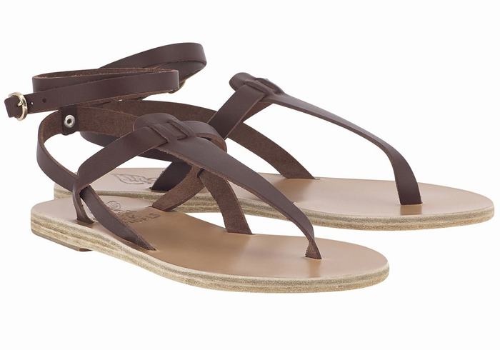 Women Ancient Greek Sandals Estia Leather Ankle Strap Sandals Coffee | ILJ987UB