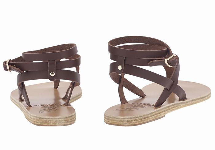 Women Ancient Greek Sandals Estia Leather Ankle Strap Sandals Coffee | ILJ987UB