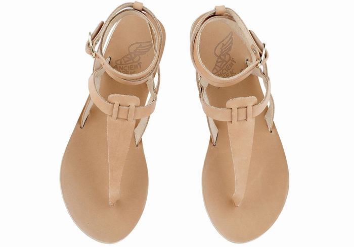 Women Ancient Greek Sandals Estia Leather Ankle Strap Sandals Beige | UTS3851OR