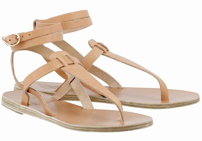 Women Ancient Greek Sandals Estia Leather Ankle Strap Sandals Beige | UTS3851OR