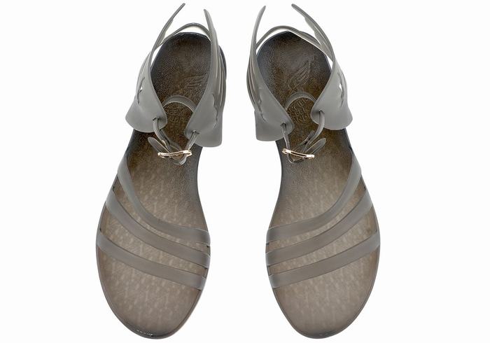 Women Ancient Greek Sandals Ikaria Ankle Strap Sandals Grey | DRX9413SY