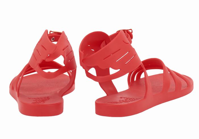 Women Ancient Greek Sandals Ikaria Ankle Strap Sandals Red | NYY5279ZX