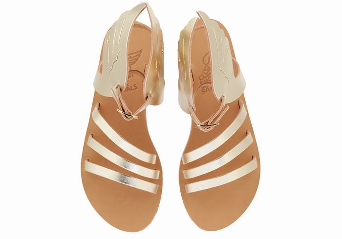 Women Ancient Greek Sandals Ikaria Leather Ankle Strap Sandals Gold White | GUK3647SA