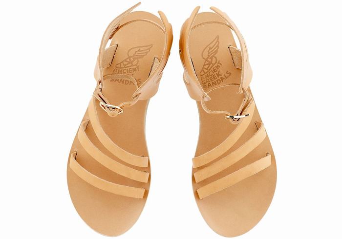 Women Ancient Greek Sandals Ikaria Leather Ankle Strap Sandals Beige | HLA1180AQ