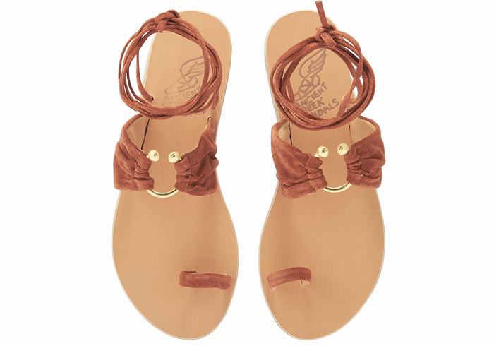 Women Ancient Greek Sandals Kerasia Gladiator Sandals Coffee | NBS6480MZ