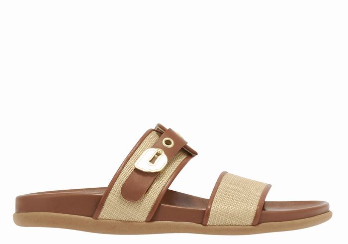 Women Ancient Greek Sandals Latria Slide Sandals Beige Brown | DMH6096JS