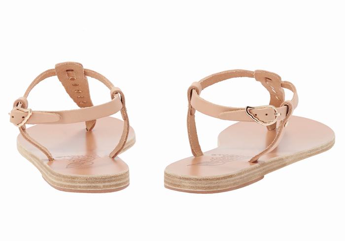 Women Ancient Greek Sandals Lito Bee Back-Strap Sandals Beige | WQV1833ZY