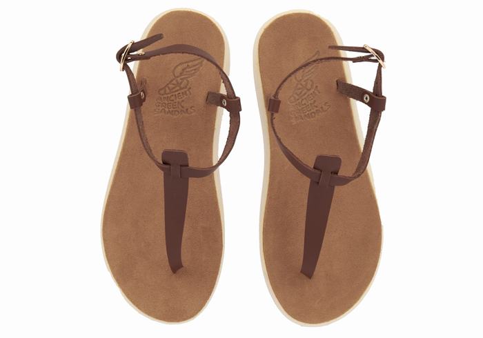 Women Ancient Greek Sandals Lito Comfort Back-Strap Sandals Coffee | TBF8064BI