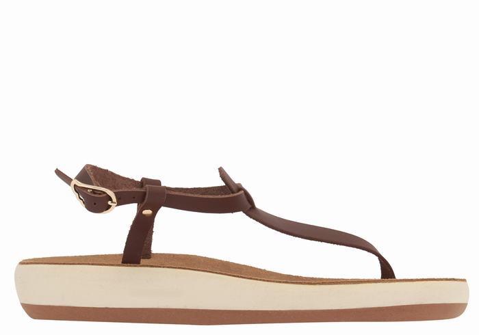 Women Ancient Greek Sandals Lito Comfort Back-Strap Sandals Coffee | TBF8064BI