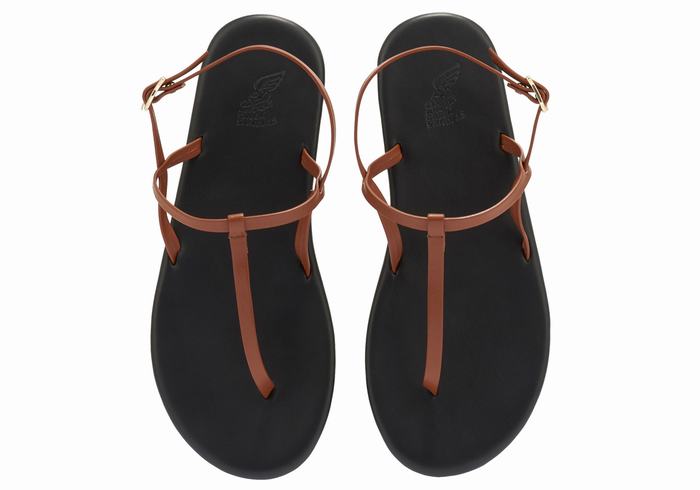 Women Ancient Greek Sandals Lito Flip Flop Back-Strap Sandals Dark Brown | KXH1564XZ