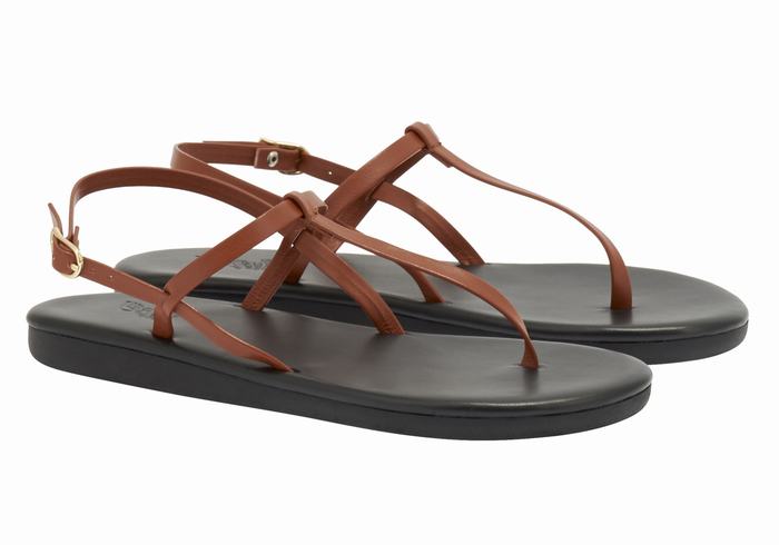 Women Ancient Greek Sandals Lito Flip Flop Back-Strap Sandals Dark Brown | KXH1564XZ