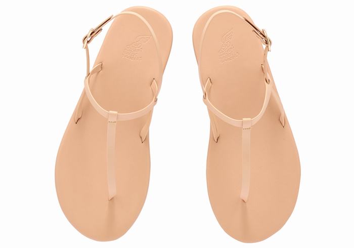 Women Ancient Greek Sandals Lito Flip Flop Back-Strap Sandals Beige | FFP6547NF