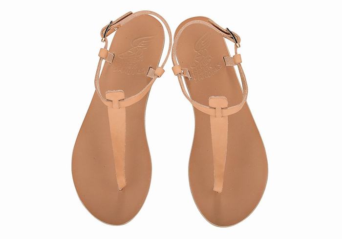 Women Ancient Greek Sandals Lito Flip Flop Leather Back-Strap Sandals Beige | AMW5177GV