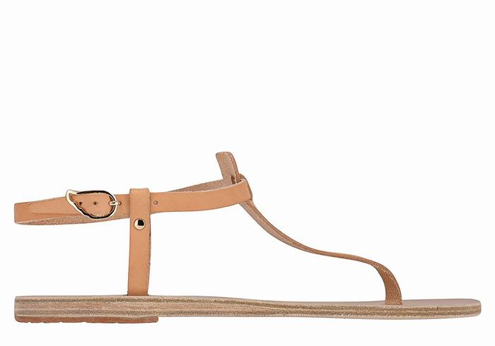 Women Ancient Greek Sandals Lito Flip Flop Leather Back-Strap Sandals Beige | AMW5177GV