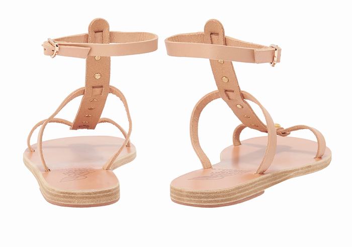 Women Ancient Greek Sandals Meliti Bee Ankle Strap Sandals Beige | BAJ8887XH