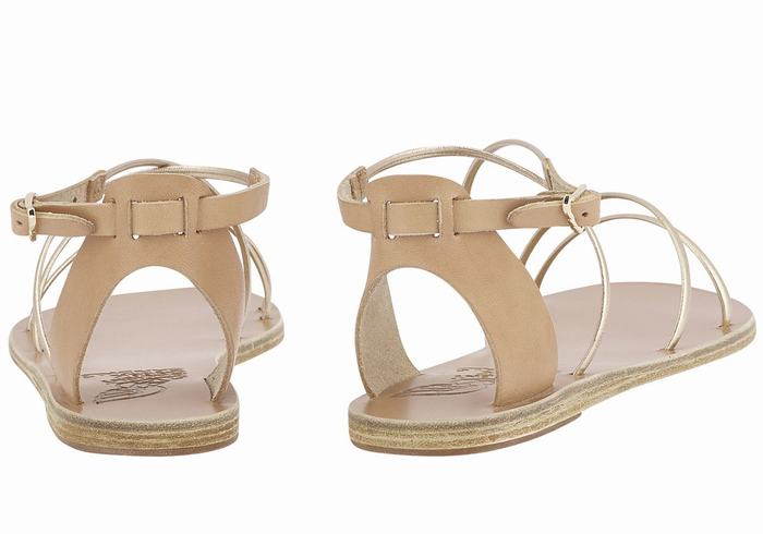 Women Ancient Greek Sandals Meloivia Ankle Strap Sandals Beige Gold White | TTD7383RB