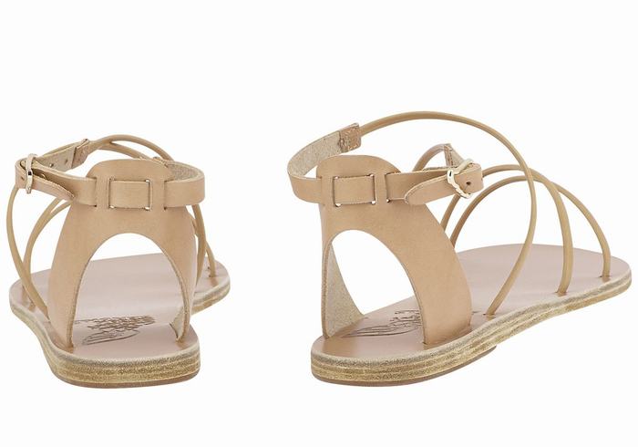 Women Ancient Greek Sandals Meloivia Ankle Strap Sandals Beige | NQT5084DL