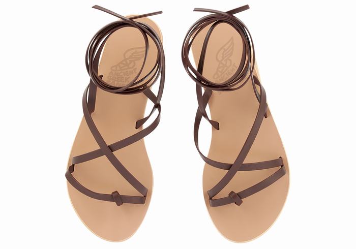 Women Ancient Greek Sandals Morfi Leather Gladiator Sandals Coffee | FDO562NO