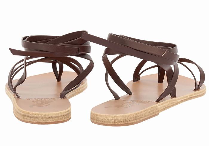 Women Ancient Greek Sandals Morfi Leather Gladiator Sandals Coffee | FDO562NO