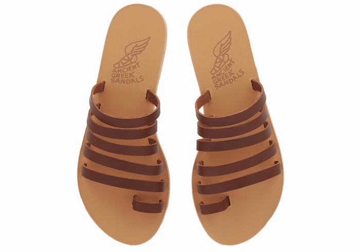 Women Ancient Greek Sandals Niki Leather Toe-Post Sandals Coffee | ZKV5976JI