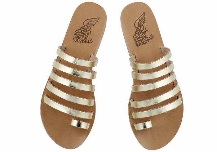 Women Ancient Greek Sandals Niki Leather Toe-Post Sandals Gold White | WLK343AX