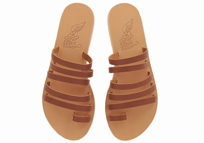 Women Ancient Greek Sandals Niki Leather Toe-Post Sandals Dark Brown | FAN1593LL