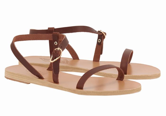 Women Ancient Greek Sandals Niove Leather Back-Strap Sandals Coffee | RFL8196ZY