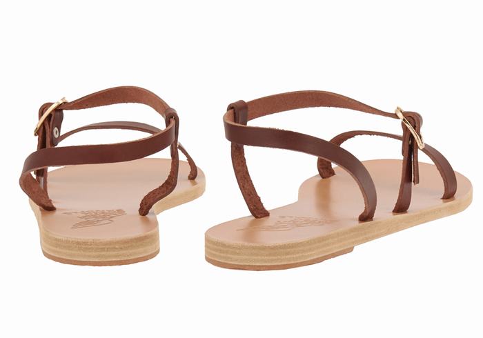 Women Ancient Greek Sandals Niove Leather Back-Strap Sandals Coffee | RFL8196ZY