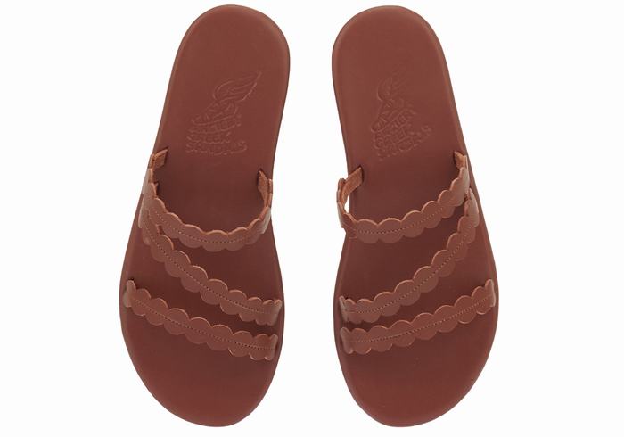 Women Ancient Greek Sandals Oceanis Slide Sandals Coffee | MRR4319UL