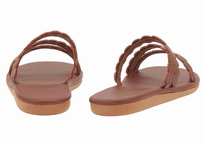 Women Ancient Greek Sandals Oceanis Slide Sandals Coffee | MRR4319UL