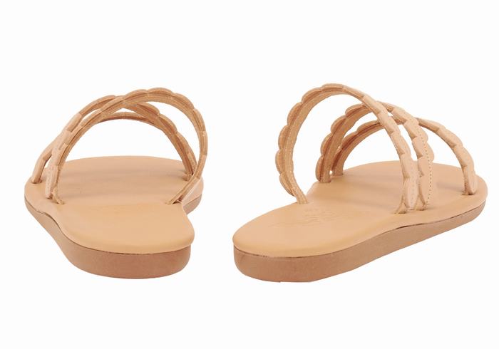 Women Ancient Greek Sandals Oceanis Slide Sandals Beige | DYD2584DD