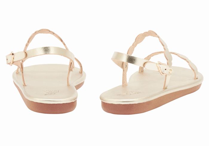 Women Ancient Greek Sandals Orion Back-Strap Sandals Gold White | PFN6415NZ