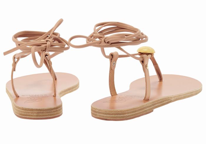 Women Ancient Greek Sandals Persephone Gladiator Sandals Beige | IRF9549ZC