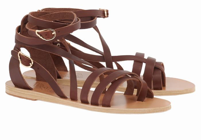 Women Ancient Greek Sandals Satira Leather Gladiator Sandals Coffee | AKQ4857UP