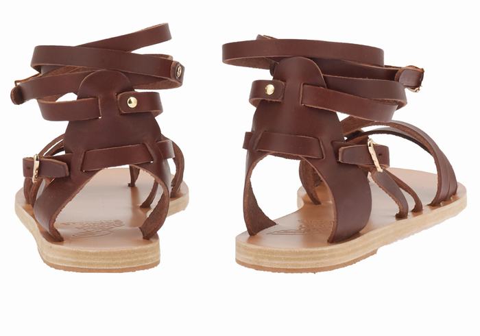 Women Ancient Greek Sandals Satira Leather Gladiator Sandals Coffee | AKQ4857UP