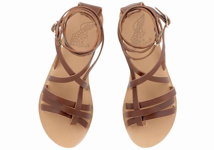 Women Ancient Greek Sandals Satira Leather Gladiator Sandals Dark Brown | FFE2632AO