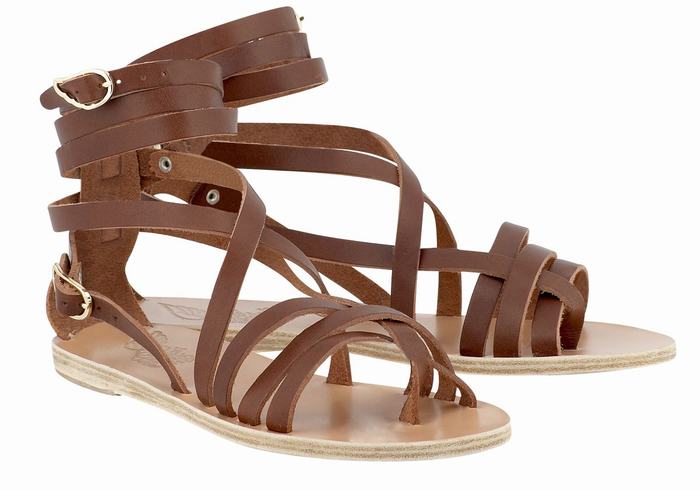 Women Ancient Greek Sandals Satira Leather Gladiator Sandals Dark Brown | FFE2632AO