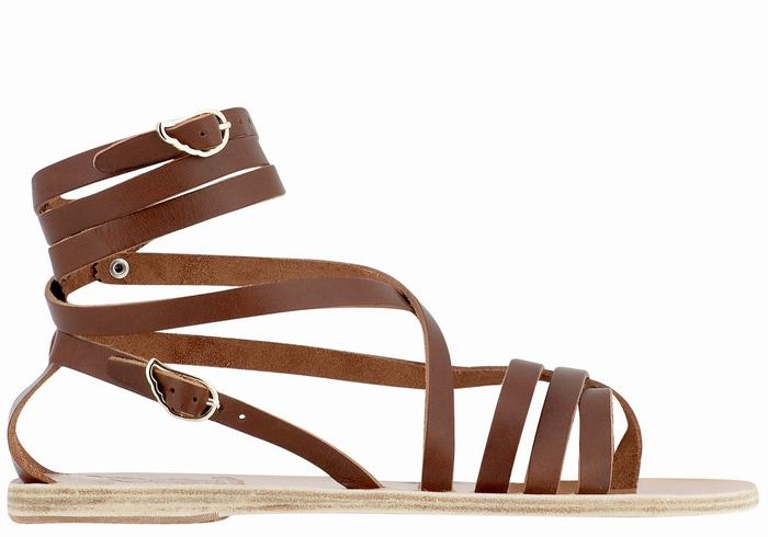 Women Ancient Greek Sandals Satira Leather Gladiator Sandals Dark Brown | FFE2632AO