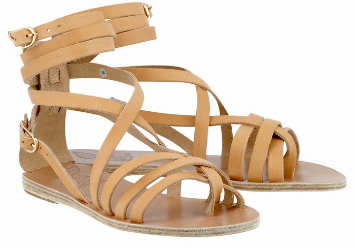 Women Ancient Greek Sandals Satira Leather Gladiator Sandals Beige | IOJ6778UE