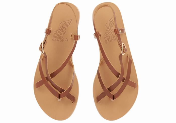 Women Ancient Greek Sandals Semele Leather Back-Strap Sandals Dark Brown | YVL6868KY