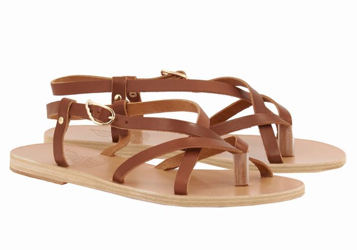 Women Ancient Greek Sandals Semele Leather Back-Strap Sandals Dark Brown | YVL6868KY