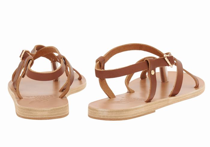 Women Ancient Greek Sandals Semele Leather Back-Strap Sandals Dark Brown | YVL6868KY