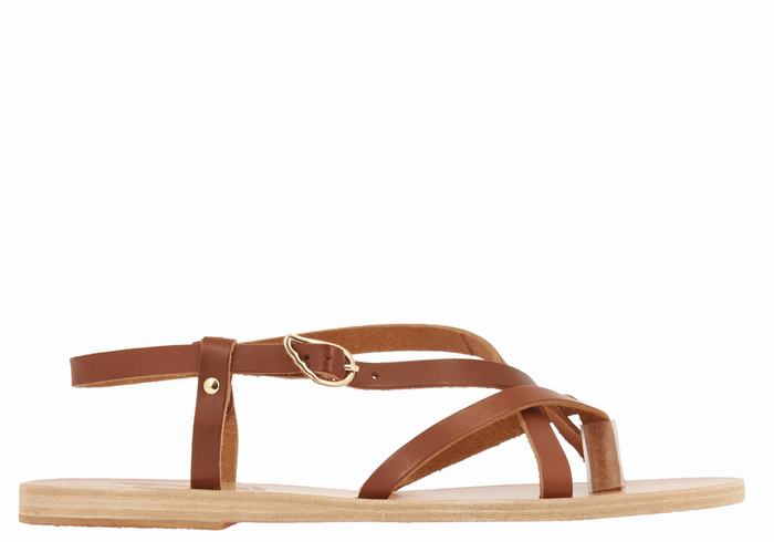 Women Ancient Greek Sandals Semele Leather Back-Strap Sandals Dark Brown | YVL6868KY