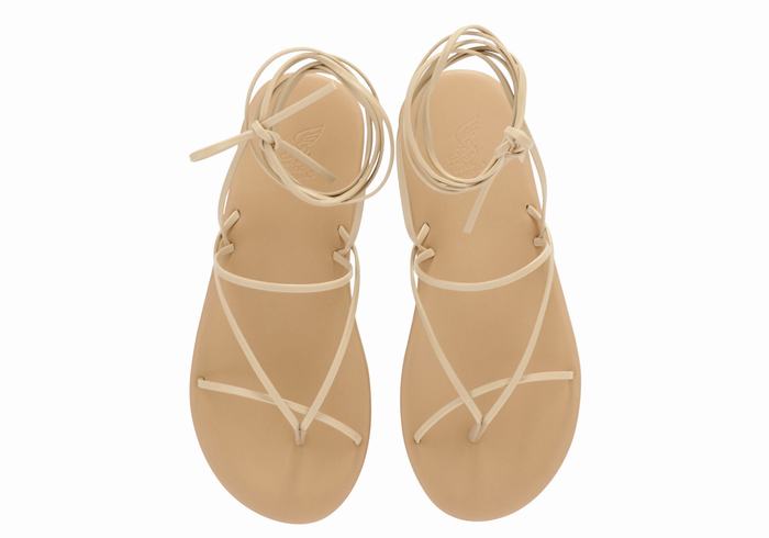 Women Ancient Greek Sandals String Gladiator Sandals Beige | WJI2855WR